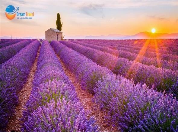 Tour Du Lịch Đặc Biệt Các Nước Nam Âu 2026
